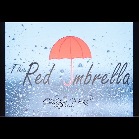 Designer dress from Dallas Fashion Week - Picture 5 of 8